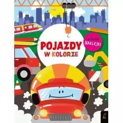 POJAZDY W KOLORZE - Wilga