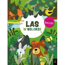 LAS W KOLORZE - Wilga