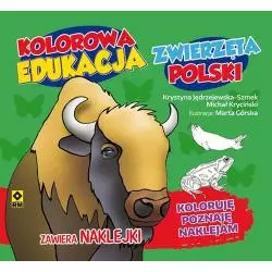 KOLOROWA EDUKACJA ZWIERZĘTA POLSKI - NAKLEJKA - Wydawnictwo RM