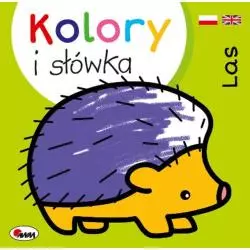 LAS KOLORY I SŁÓWKA Piotr Kozera - AWM