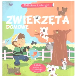 NAKLEJKOWE HISTORYJKI. ZWIERZĘTA DOMOWE Agnes Besson - Olesiejuk