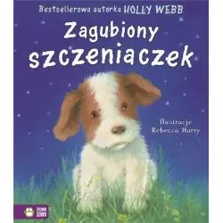 ZAGUBIONY SZCZENIACZEK Holly Webb - Zielona Sowa