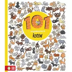 101 ZAGUBIONYCH KOTKÓW. ZNAJDŹ SZCZEGÓŁY 6+ - Zielona Sowa