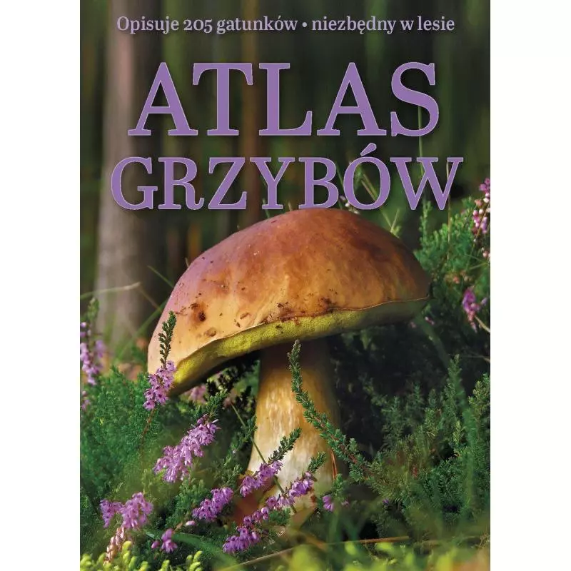 ATLAS GRZYBÓW - Olesiejuk