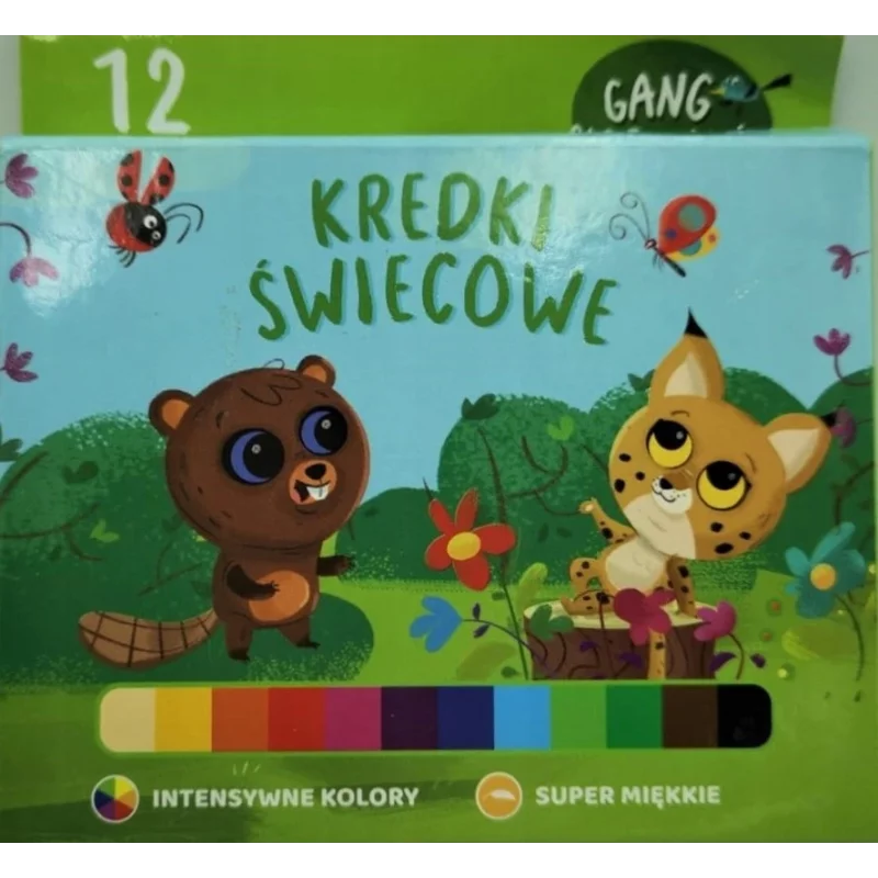 KREDKI ŚWIECOWE 12 KOLORÓW 3+ - Interdruk