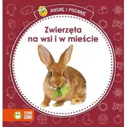 ZWIERZĘTA NA WSI I W MIEŚCIE ROSNĘ I POZNAJĘ 1+ - Zielona Sowa