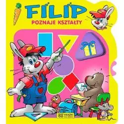 FILIP POZNAJE KSZTAŁTY - Książki dla dzieci