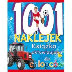 1001 NAKLEJEK KSIĄŻKA AKTYWIZUJĄCA DLA CHŁOPCÓW - Olesiejuk