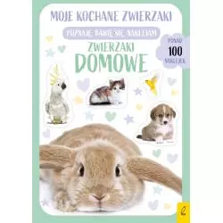 ZWIERZAKI DOMOWE MOJE KOCHANE ZWIERZAKI - Wilga