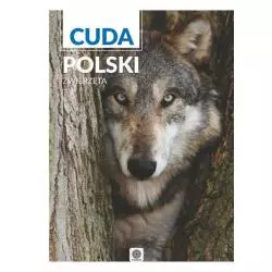 ZWIERZĘTA CUDA POLSKI - Dragon