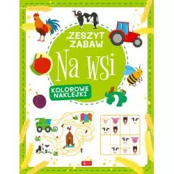 NA WSI ZESZYT ZABAW Justyna Tkocz - Dragon