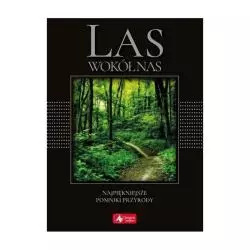 LAS WOKÓŁ NAS NAJPIĘKNIEJSZE POMNIKI PRZYRODY - Dragon