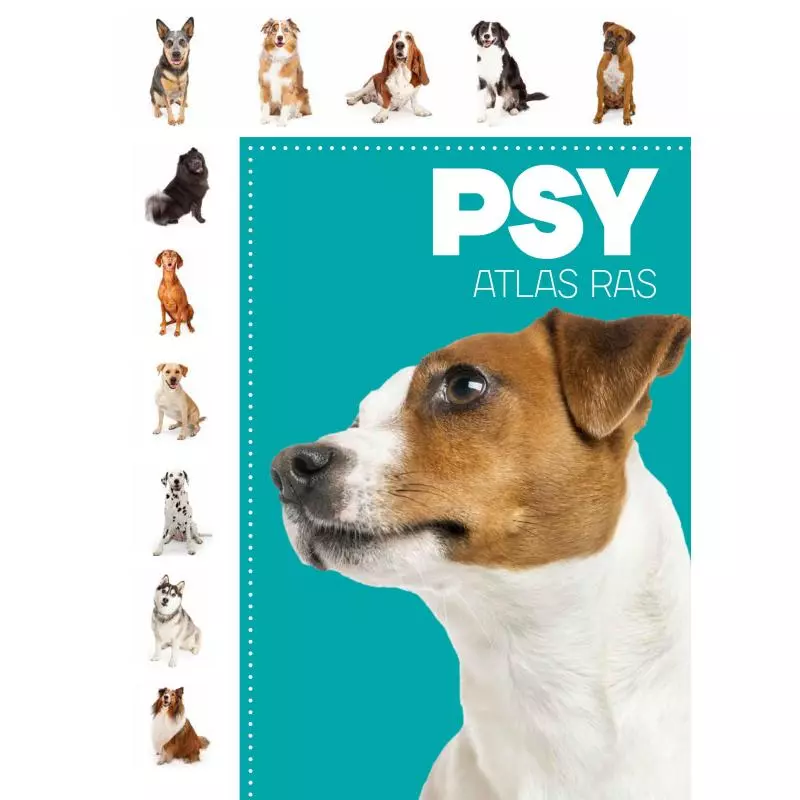 PSY ATLAS RAS - Buchmann