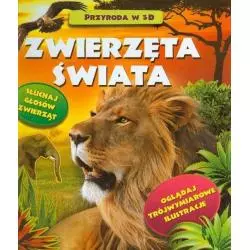 ZWIERZĘTA ŚWIATA PRZYRODA W 3D SŁUCHAJ GŁOSÓW ZWIERZĄT - Wilga