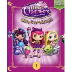 LITTLE CHARMERS MAŁE CZARODZIEJKI 1 KSIĄŻKA Z NAKLEJKAMI - Media Service Zawada