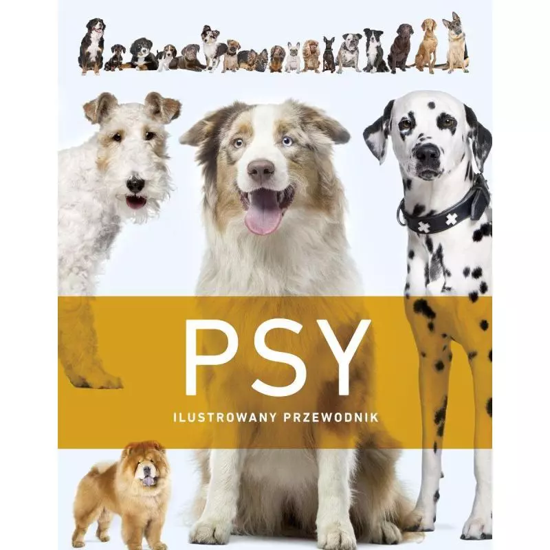 PSY ILUSTROWANY PRZEWODNIK - Olesiejuk PSY ILUSTROWANY PRZEWODNIK - Olesiejuk
