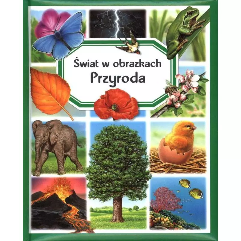 PRZYRODA ŚWIAT W OBRAZKACH 4+ - Olesiejuk
