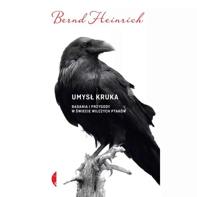 UMYSŁ KRUKA BADANIA I PRZYGODY W ŚWIECIE WILCZYCH PTAKÓW Bernd Heinrich - Czarne