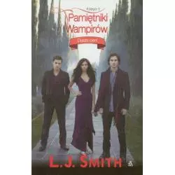 PAMIĘTNIKI WAMPIRÓW 3 DUSZE CIENI L.J. Smith - Amber