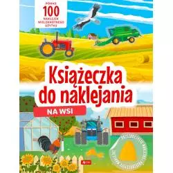 KSIĄŻECZKA DO NAKLEJANIA NA WSI - Dragon