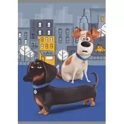 ZESZYT BRULION A5 W KRATKĘ 16 KARTEK - St. Majewski