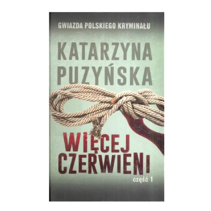 WIĘCEJ CZERWIENI 1 Katarzyna Puzyńska - Ringier Axel Springer