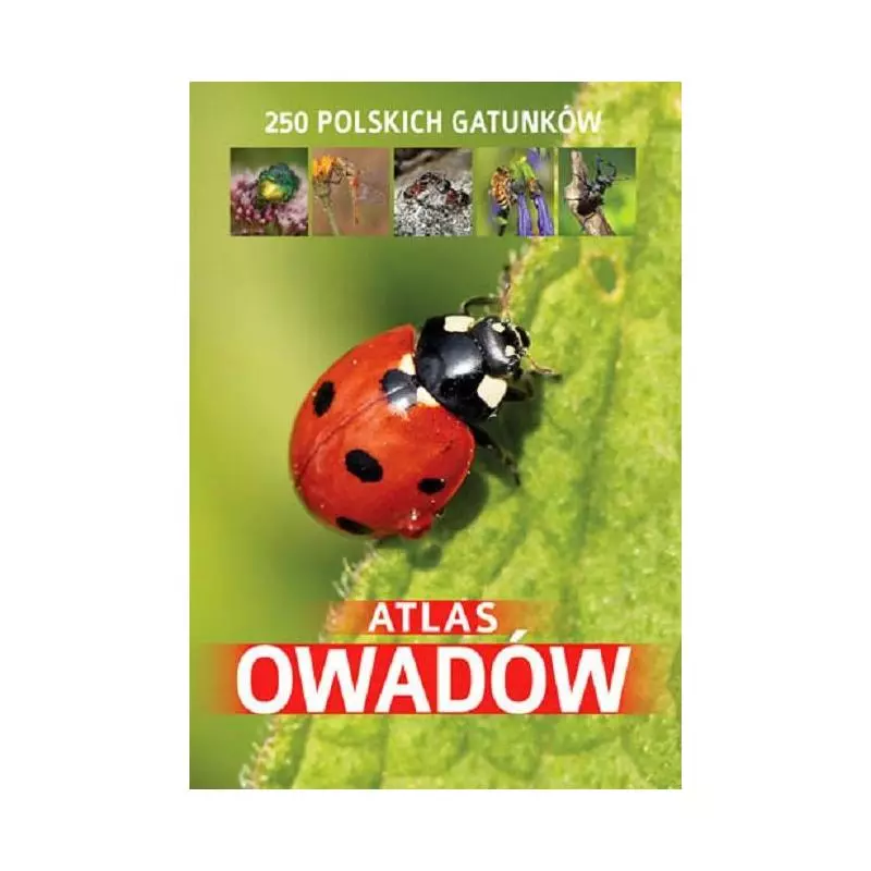 ATLAS OWADÓW 250 POLSKICH GATUNKÓW Jacek Twardowski - SBM