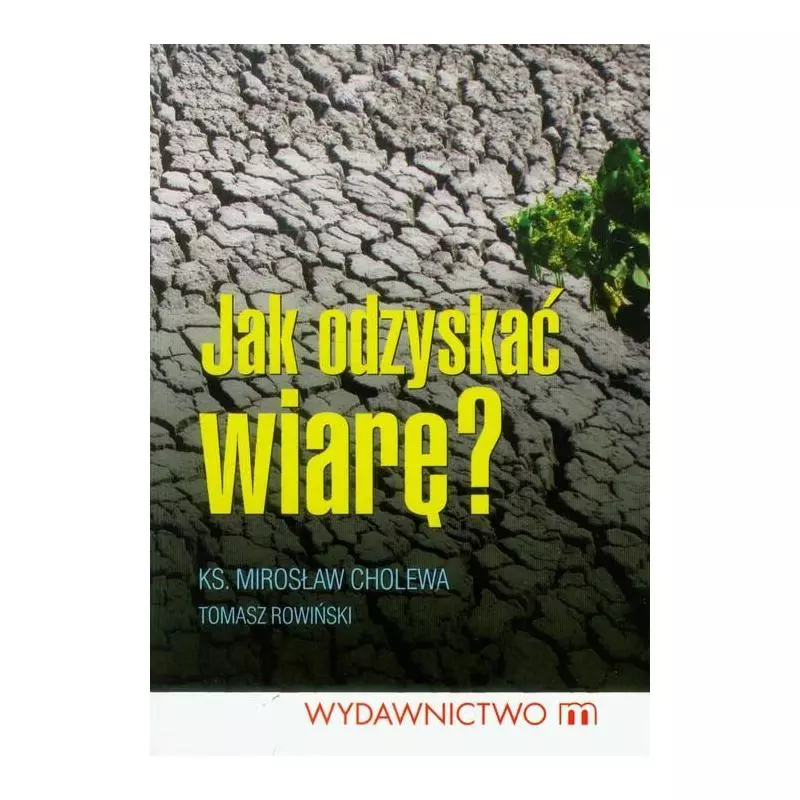 JAK ODZYSKAĆ WIARĘ ? Tomasz Rowiński, Mirosław Cholewa - Wydawnictwo M