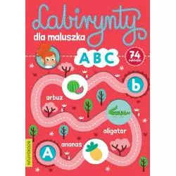 ABC LABIRYNTY DLA MALUSZKA - Books and Fun