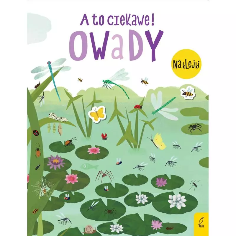 OWADY A TO CIEKAWE! - Wilga