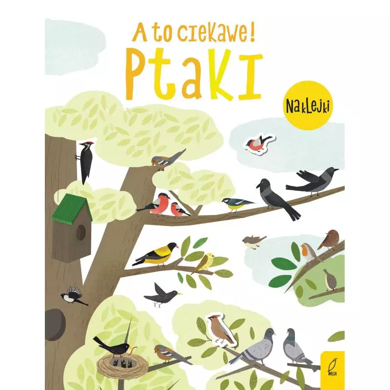 PTAKI A TO CIEKAWE! - Wilga