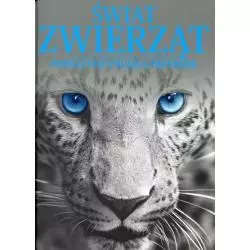 ŚWIAT ZWIERZĄT Iwona Baturo - Dragon