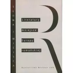 LITERATURY MNIJSZE EUROPY ROMAŃSKIEJ Mirosław Loba, Barbara Łuczak, Alfons Gregori - Wydawnictwo Naukowe UAM
