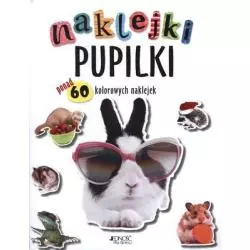 NAKLEJKI PUPILKI PONAD 60 KOLOROWYCH NAKLEJEK - Jedność