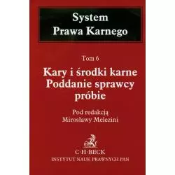 KARY I ŚRODKI KARNE PODDANIE SPRAWCY PRÓBIE - C.H. Beck