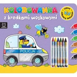 KOLOROWANKA Z KREDKAMI WOSKOWYMI UDANE ZABAWY MALUCHA 3+ - Aksjomat