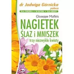 NAGIETEK ŚLAZ I MNISZEK TRZY NIEZWYKŁE KWIATY Giuseppe Maffeis - AWM