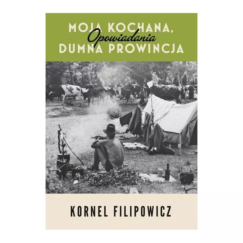 MOJA KOCHANA DUMNA PROWINCJA OPOWIADANIA Kornel Filipowicz - Znak