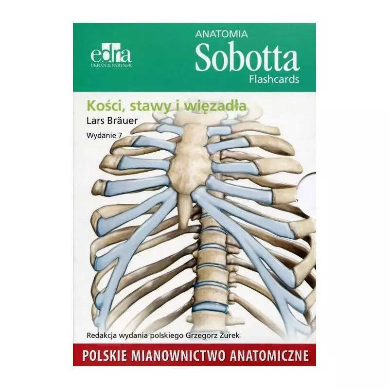 ANATOMIA SOBOTTA FLASHCARDS KOŚCI STAWY I WIĘZADŁA POLSKIE MIANOWNICTWO ANATOMICZNE Lars Brauer - Elsevier Urban&Partner