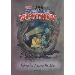 PRZYGODY TRZECH DETEKTYWÓW TAJEMNICA JEZIORA DUCHÓW Andy Chandler - Siedmioróg