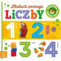 MALUCH POZNAJE LICZBY - Aksjomat