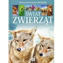 ŚWIAT ZWIERZĄT - Dragon