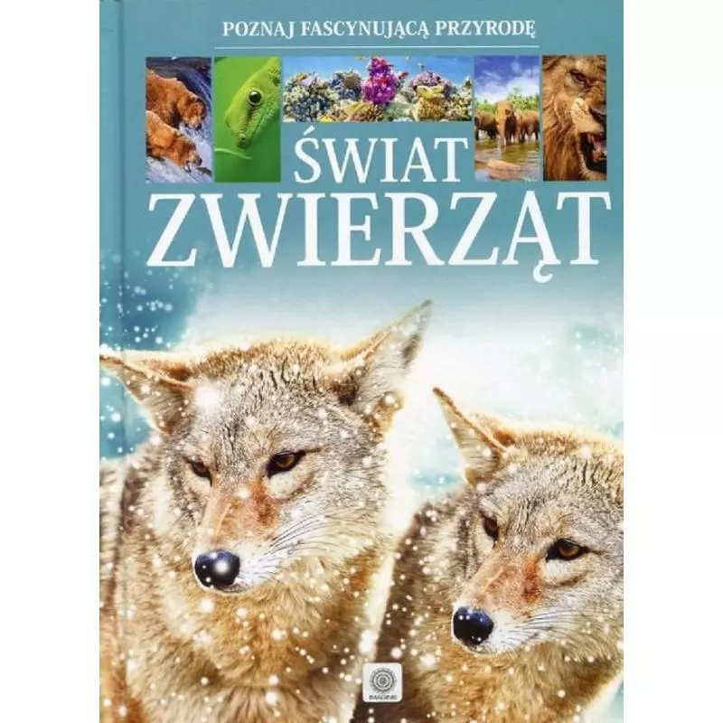 ŚWIAT ZWIERZĄT - Dragon