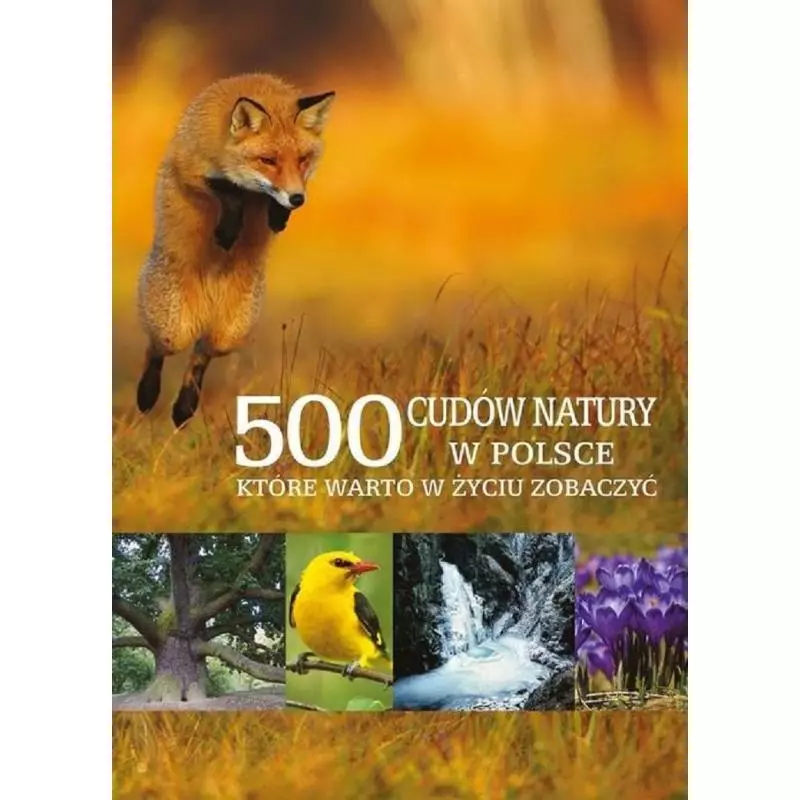 500 CUDÓW NATURY W POLSCE KTÓRE WARTO W ŻYCIU ZOBACZYĆ - Muza