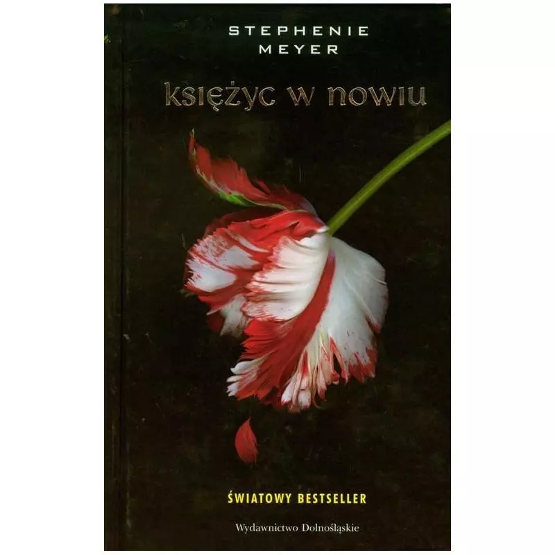 KSIĘŻYC W NOWIU Stephenie Meyer - Dolnośląskie