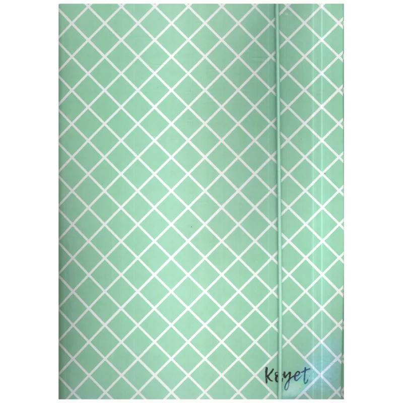 TECZKA Z GUMKĄ A4 5 SZTUKI - Joinco