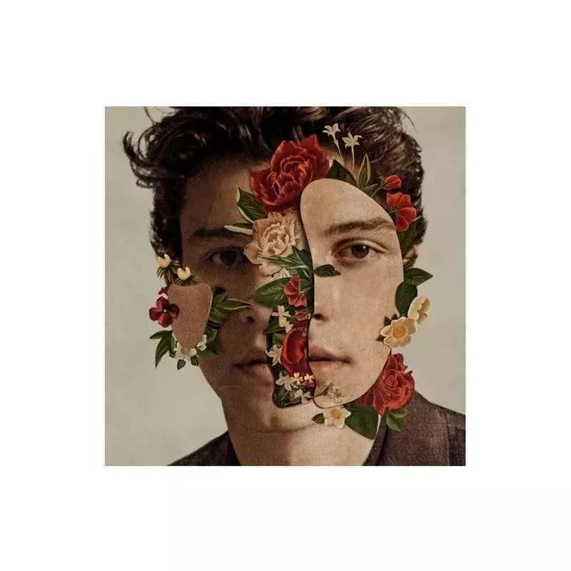 SHAWN MENDES CD - Universal Music Polska