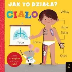 JAK TO DZIAŁA? CIAŁO - Wilga