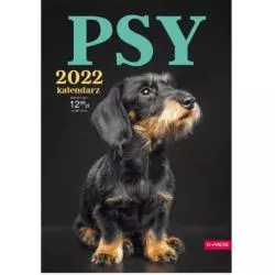 KALENDARZ ŚCIENNY 2022