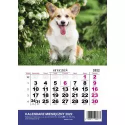 KALENDARZ MIESIĘCZNY 2022